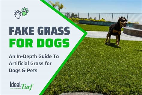 fake grass for dogs celina tx|Fake Grass for Dogs: The Ultimate Pet Turf Buyer’s Guide .